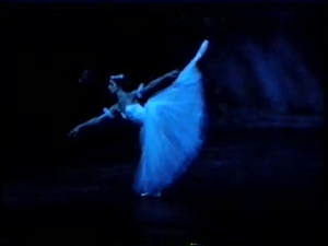 vlcsnap-2010-07-13-16h28m50s133